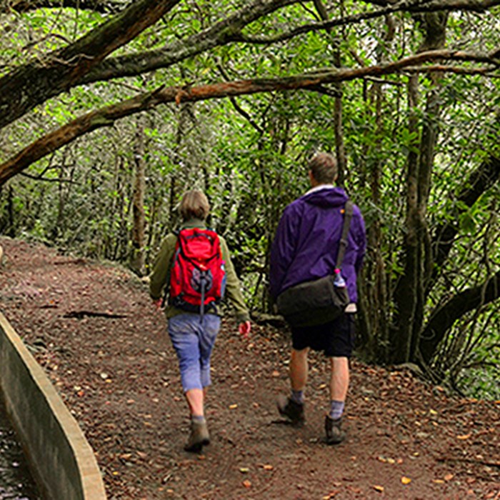 Levada Ribeiro Frio - Portela 8H