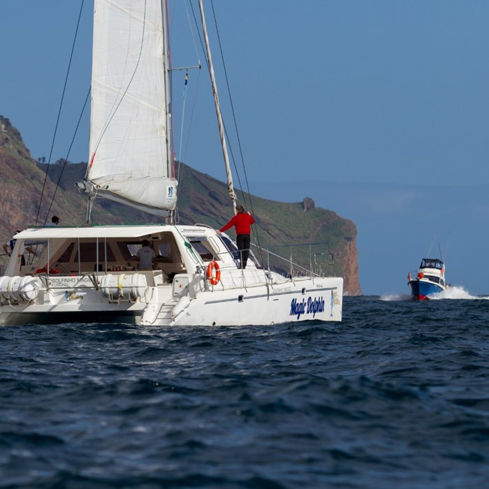 Catamaran Magic Dolphin 3H