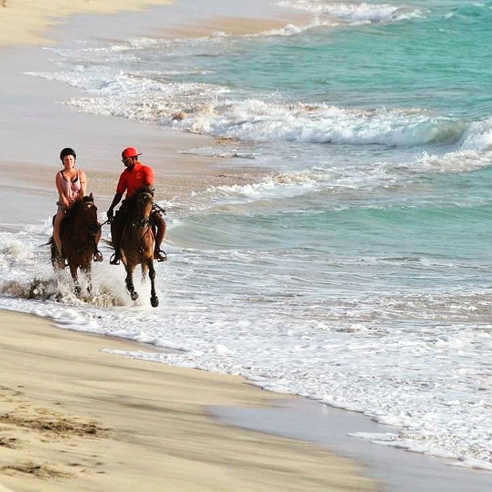 Horse Riding Tour